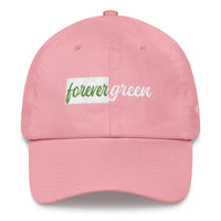 Evergreen Everything "forevergreen" Dad Hat